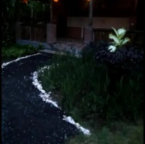 ロッジ Jati Jungle Bungalows ウンガサン